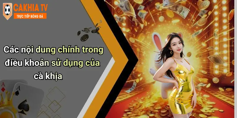 Các nội dung chính trong điều khoản sử dụng của cà khịa