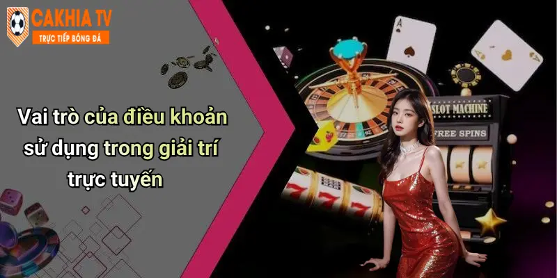 Vai trò của điều khoản sử dụng trong giải trí trực tuyến