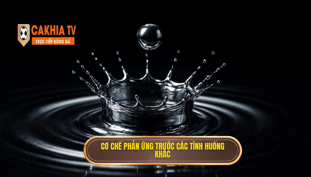 Chiến thuật bóng đá 4-1-4-1 phòng ngự: Phân tích chuyên sâu từ CÀ KHỊA 2 Cơ Chế Phản Ứng Khi Đối Mặt Với Các Sơ Đồ Tấn Công Khác