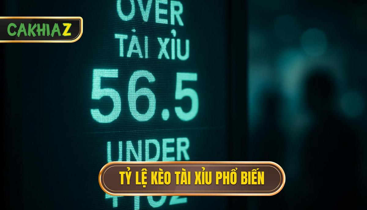 Tài xỉu bóng đá và nghệ thuật chinh phục bảng kèo nhà cái 2 Các loại tỷ lệ kèo Tài xỉu phổ biến trên thị trường